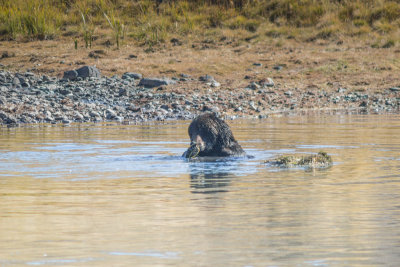 Wyoming 2012-4675.jpg