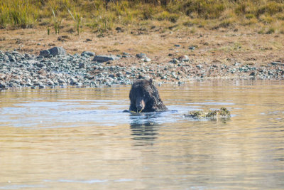 Wyoming 2012-4676.jpg
