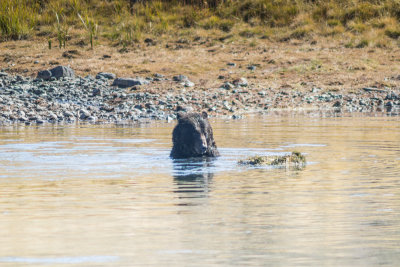 Wyoming 2012-4677.jpg
