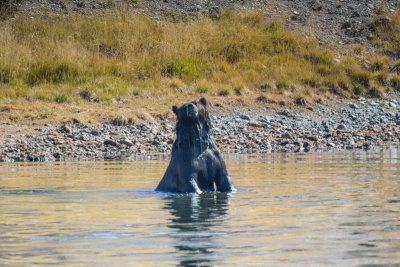 Wyoming 2012-4684.jpg