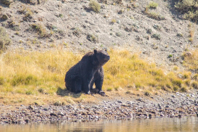 Wyoming 2012-4716.jpg