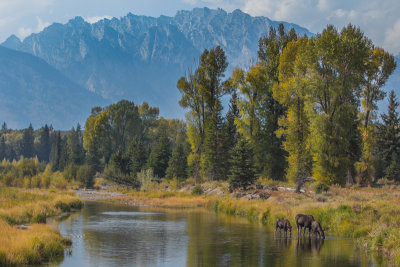 Wyoming 2012-4740.jpg
