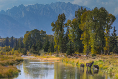 Wyoming 2012-4742.jpg