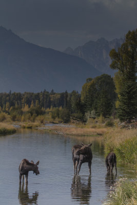 Wyoming 2012-4827.jpg