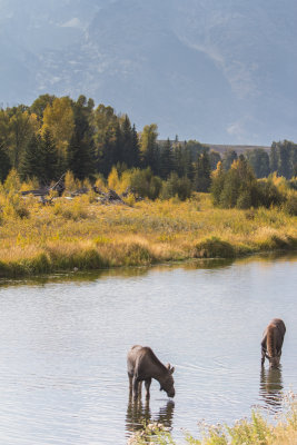 Wyoming 2012-4846.jpg