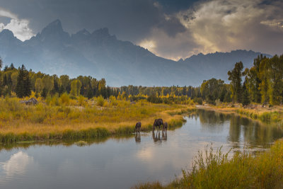 Wyoming 2012-4933.jpg