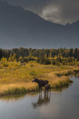 Wyoming 2012-4938.jpg