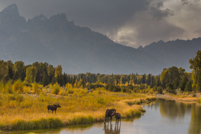 Wyoming 2012-4942.jpg