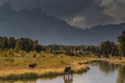 Wyoming 2012-4943.jpg