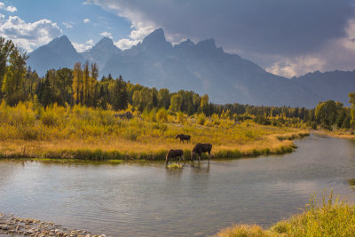 Wyoming 2012-4953.jpg