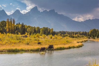 Wyoming 2012-4955.jpg