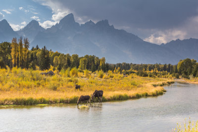 Wyoming 2012-4958.jpg