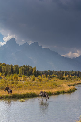 Wyoming 2012-4965.jpg
