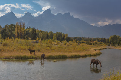 Wyoming 2012-4968.jpg
