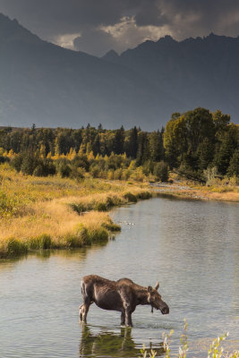 Wyoming 2012-4970.jpg