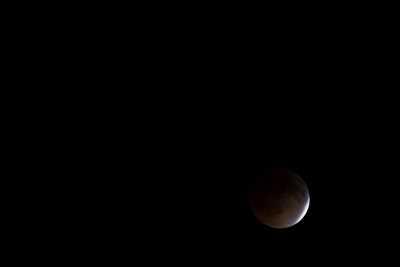 Lunar Eclipse-1795.jpg