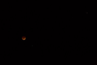 Lunar Eclipse-1873.jpg