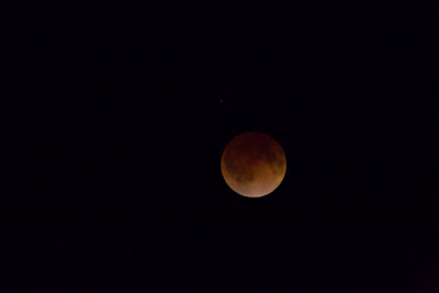 Lunar Eclipse-1875.jpg