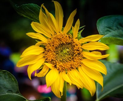 IMG_4582-Edit-1.jpg
