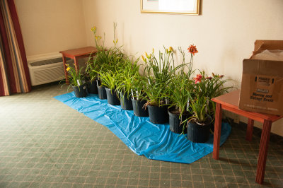 WB_HoldyInn_061214_klh-2.jpg