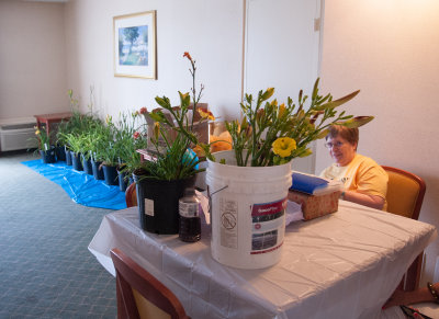 WB_HoldyInn_061214_klh-3.jpg
