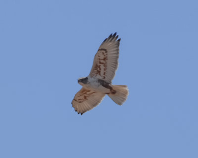 g9/91/1048091/3/157731771.HSmKFjZ4.jpg