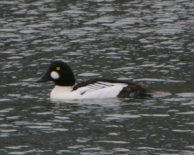 g9/91/1048091/3/158606922.a1nFpHIV.jpg