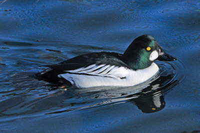 g9/91/1048091/3/158611862.N0zdKfoL.jpg