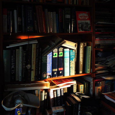 The low sun hits the bookcase