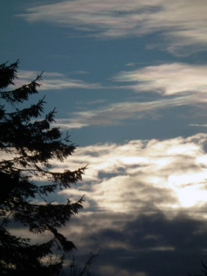Morning light