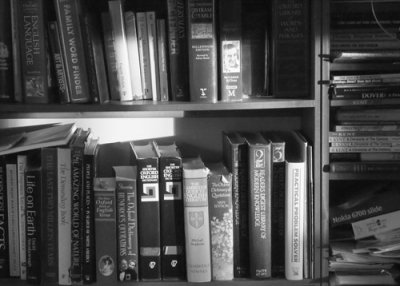 Messy shelves 