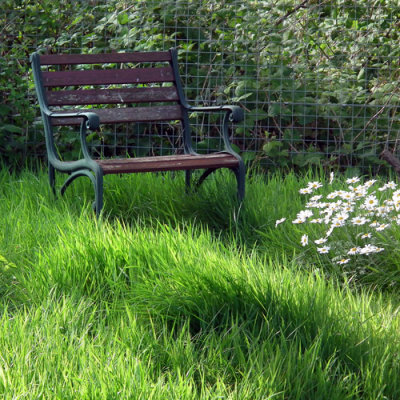 In the long grass ...