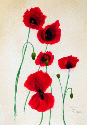 Poppies... watercolour