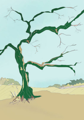  skeletal tree