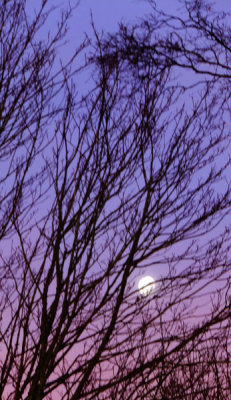 Sunrise and Moonset 