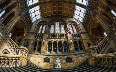 NX20_09227 Darwin London natural history museum 1600x