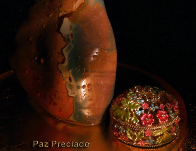 Paz-Preciado_03.jpg