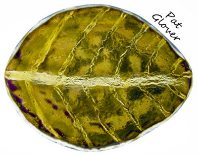 Tucson Gem & Mineral Show