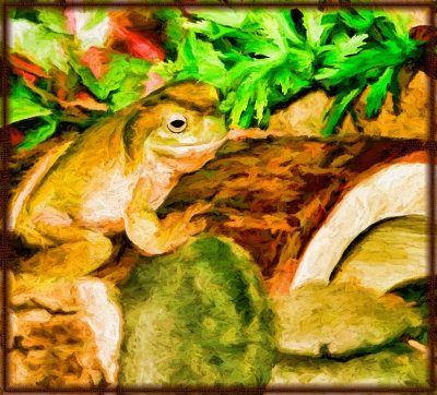 pastel-frog-paint1000.jpg