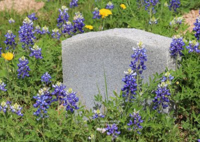 White Rock Cemetery