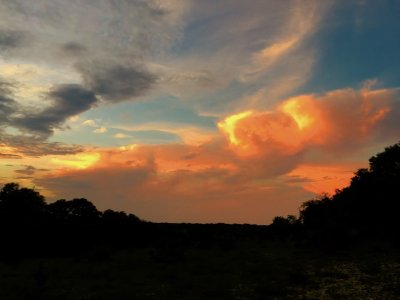 Palomino Ranch Leander Texas Sunset