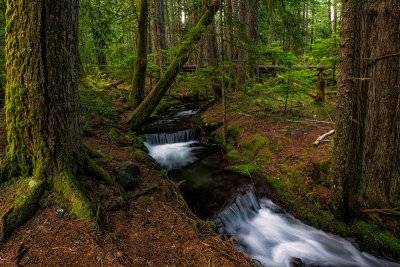 northern_oregon