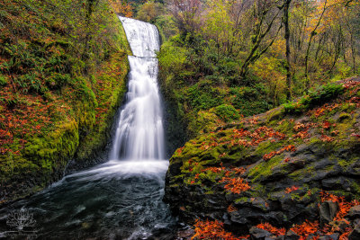 columbia_gorge