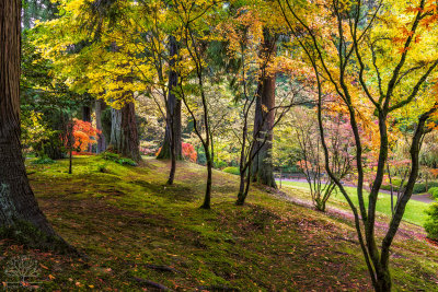 portland_japanese_garden