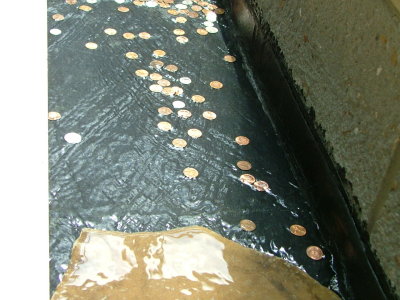 DSCF3202.JPG