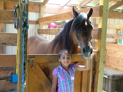  Checking our the horses