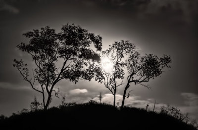 Moonrise over Nicholas Flats