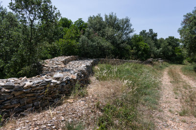 K7004555.jpg