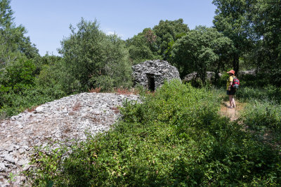 K7004532.jpg