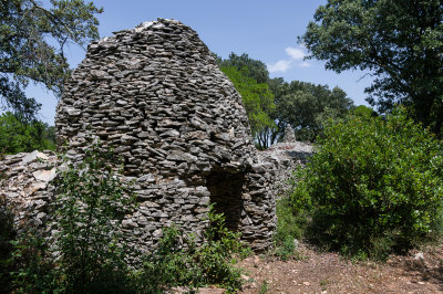 K7004476.jpg